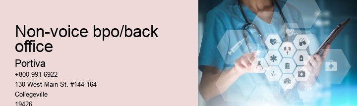 non-voice bpo/back office